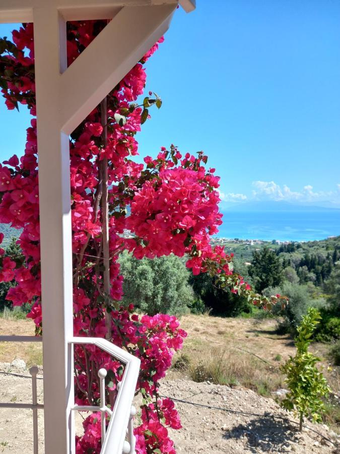 Vasiliki View Villa Agios Petros  Luaran gambar